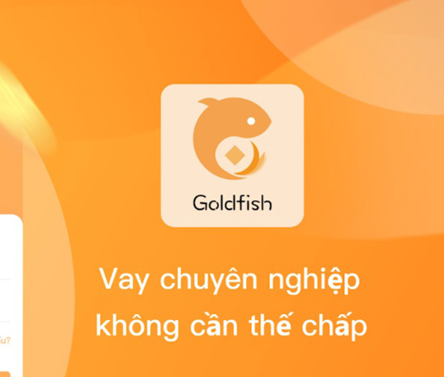GoldFish hỗ trợ vay vốn trên toàn quốc